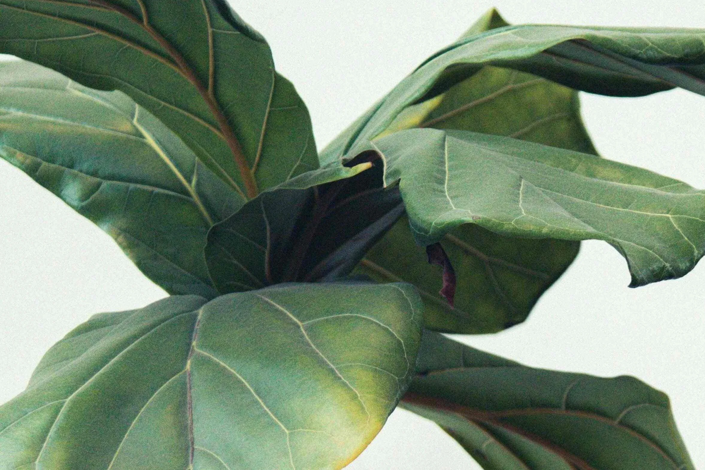 Kendal Zr C Lo DQTFUI unsplash