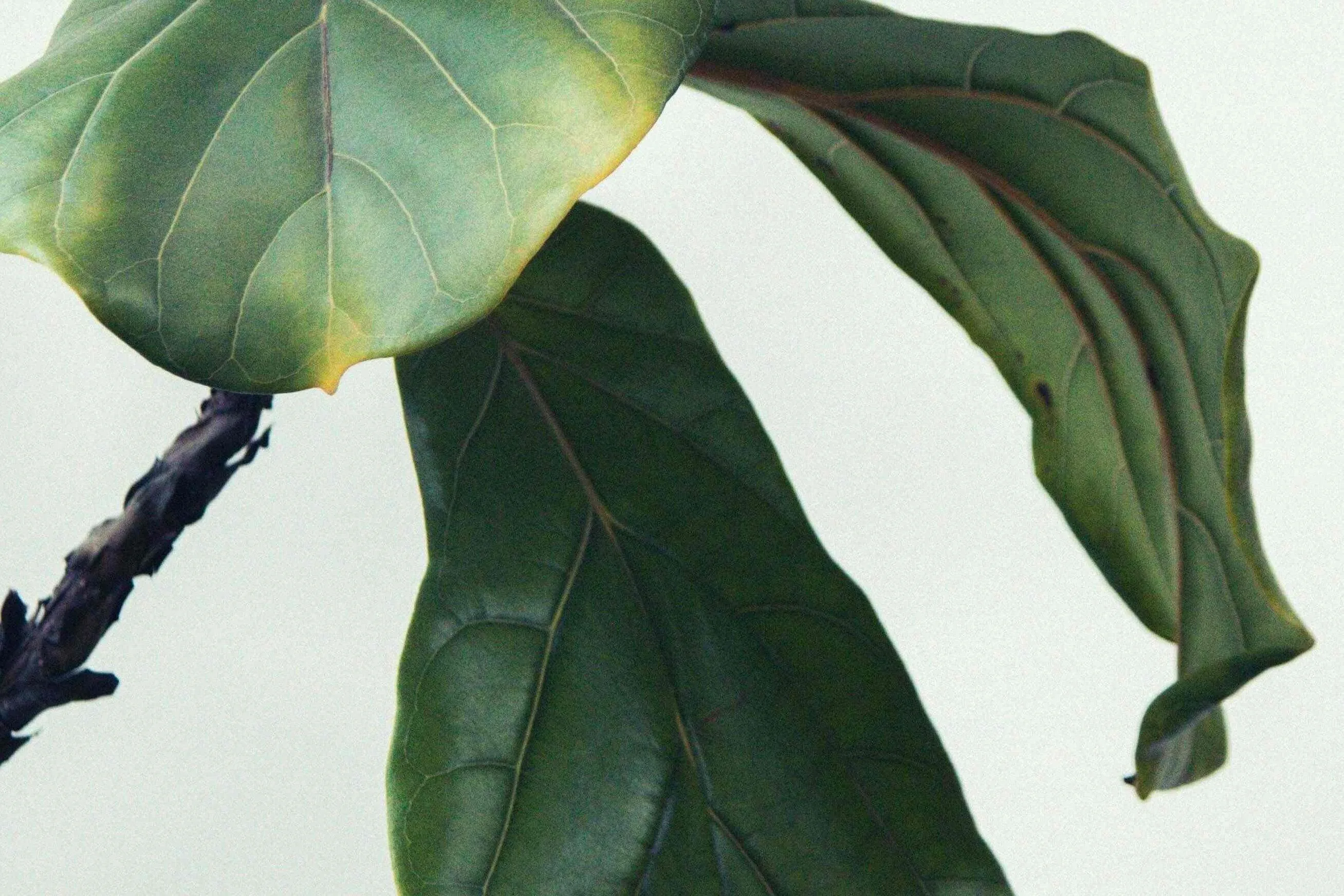 Kendal Zr C Lo DQTFUI unsplash