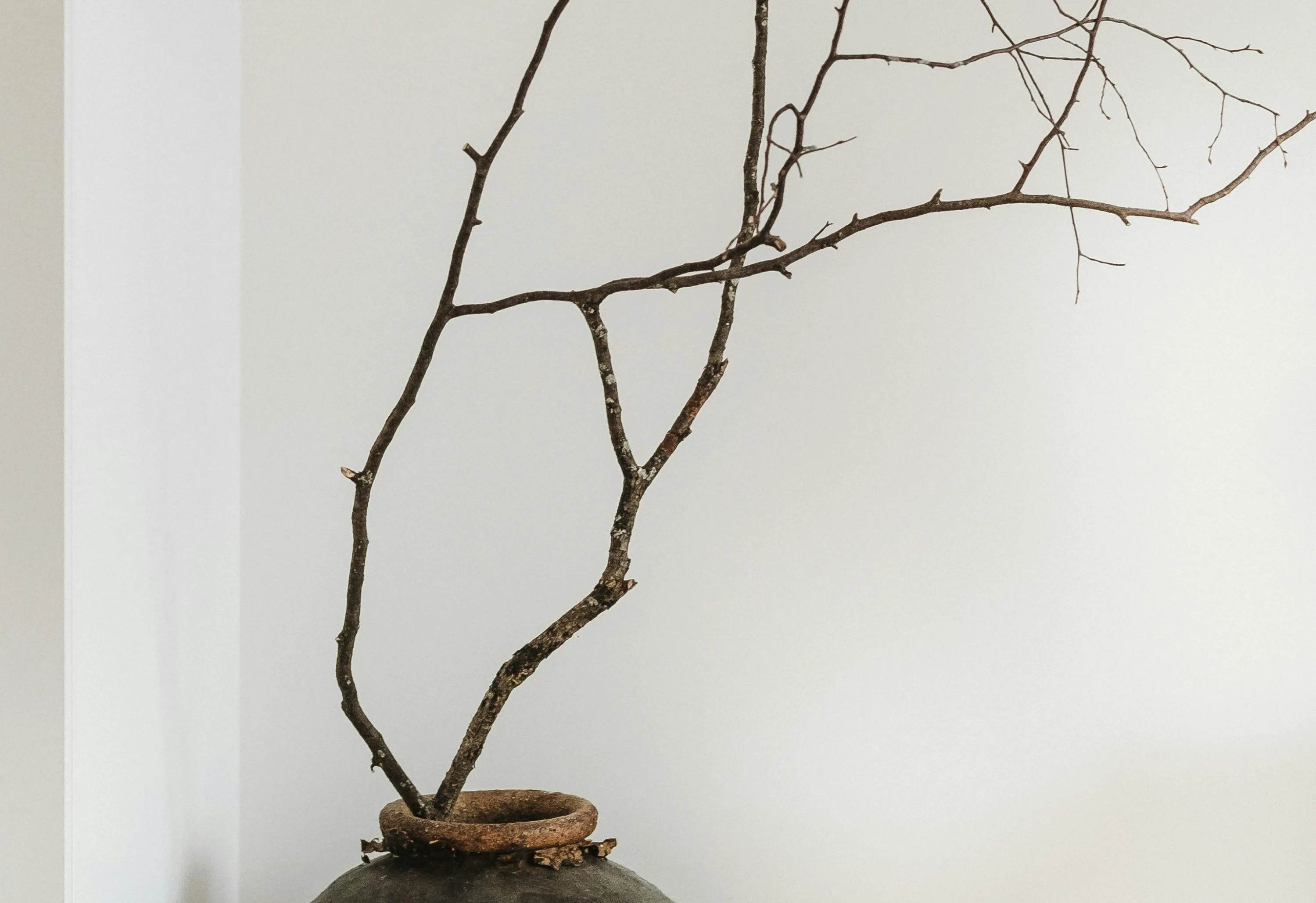 Mathilde langevin co U4tu Mev K8 unsplash 1