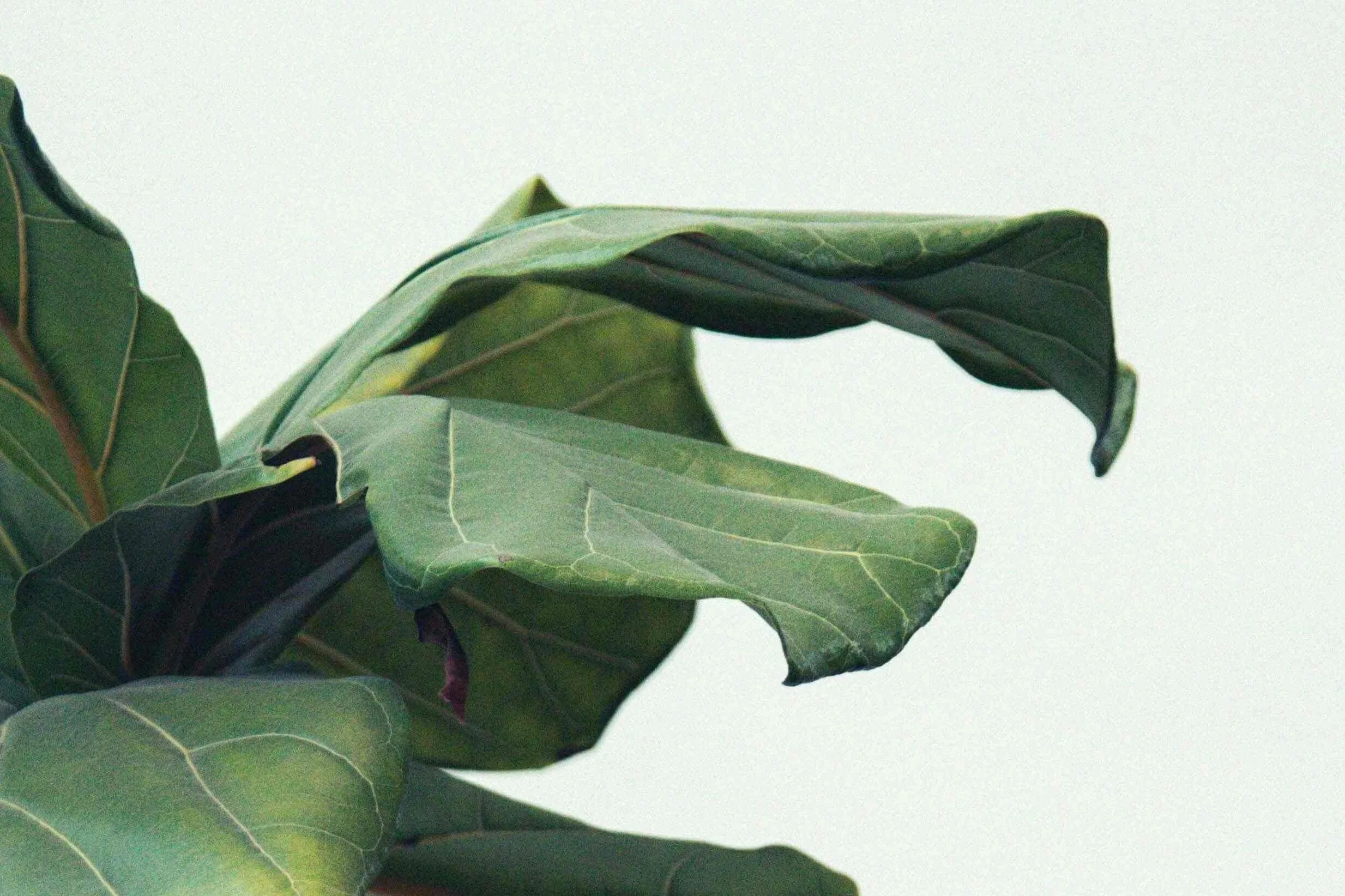 Kendal Zr C Lo DQTFUI unsplash