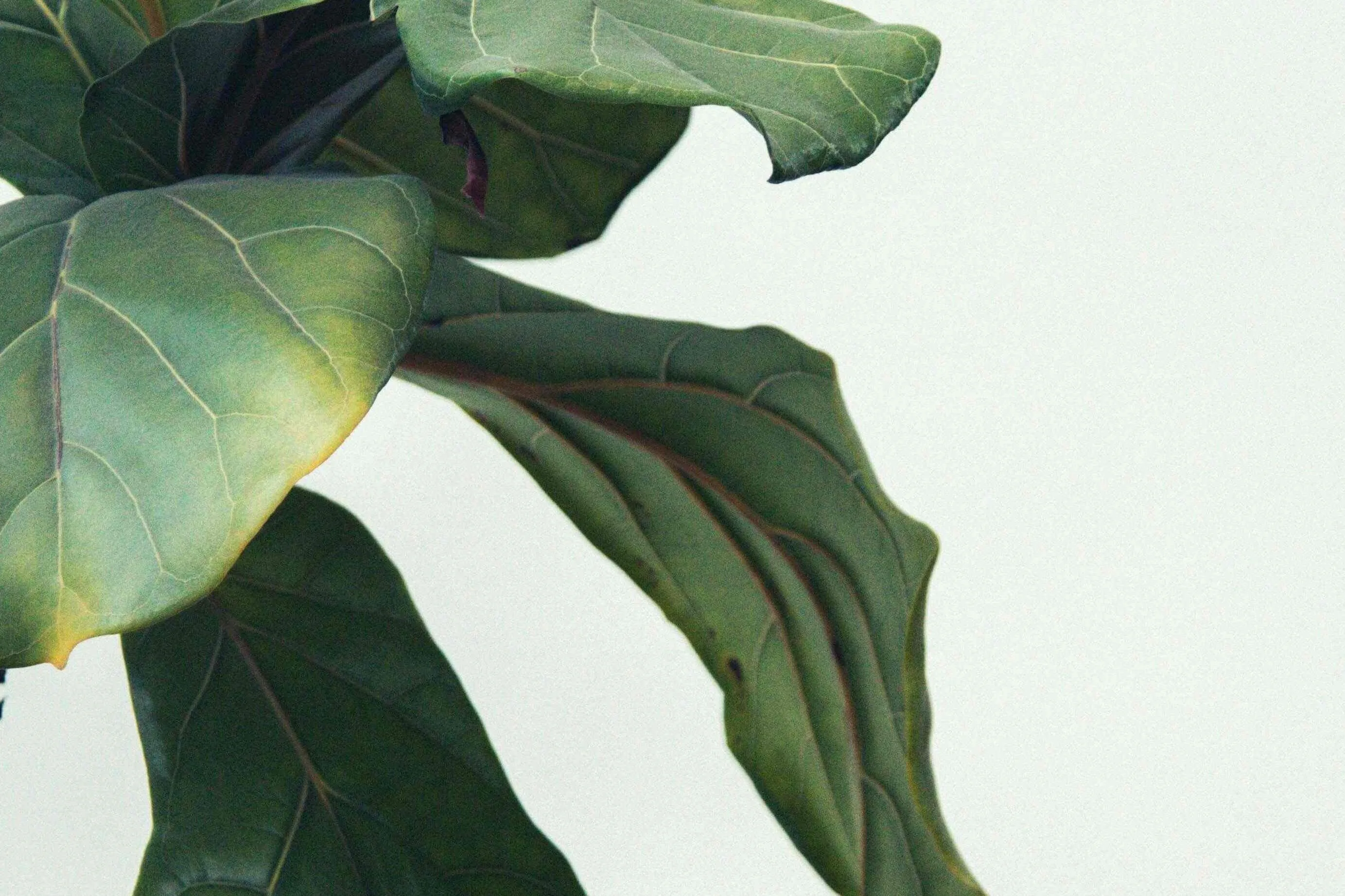 Kendal Zr C Lo DQTFUI unsplash